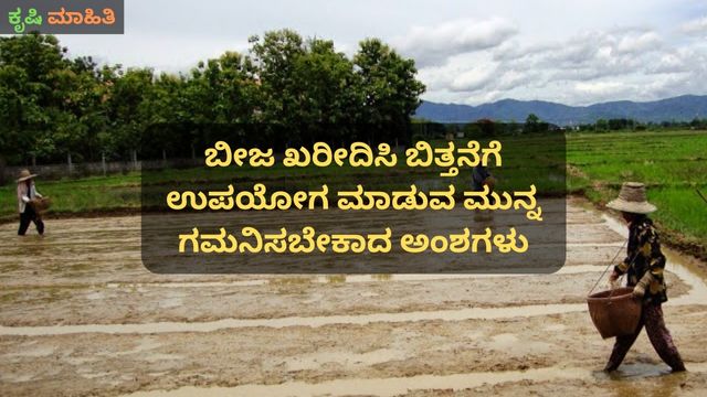 ಬೀಜ ಖರೀದಿಸಿ ಬಿತ್ತನೆಗೆ ಉಪಯೋಗ ಮಾಡುವ ಮುನ್ನ ಗಮನಿಸಬೇಕಾದ ಅಂಶಗಳು