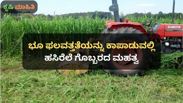 ಭೂ ಫಲವತ್ತತೆಯನ್ನು ಕಾಪಾಡುವಲ್ಲಿ ಹಸಿರೆಲೆ ಗೊಬ್ಬರದ ಮಹತ್ವ