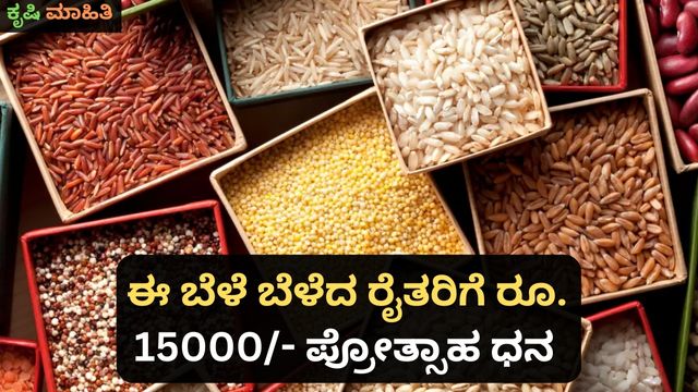 ಈ ಬೆಳೆ ಬೆಳೆದ ರೈತರಿಗೆ 15000- ಪ್ರೋತ್ಸಾಹ ಧನ