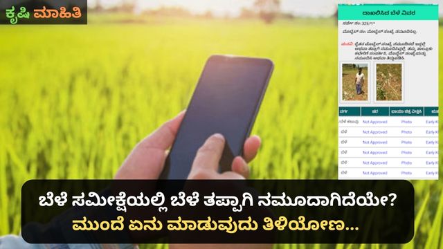 ಬೆಳೆ ಸಮೀಕ್ಷೆಯಲ್ಲಿ ಬೆಳೆ ತಪ್ಪಾಗಿ ನಮೂದಾಗಿದೆಯೇ? ಮುಂದೆ ಏನು ಮಾಡುವುದು ತಿಳಿಯೋಣ...