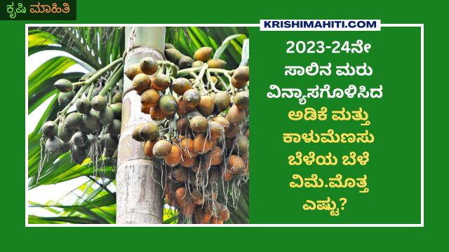 2023-24 ಅಡಿಕೆ ಮತ್ತು ಕಾಳುಮೆಣಸು ಬೆಳೆಯ ಬೆಳೆ ವಿಮೆ.ಮೊತ್ತ ಎಷ್ಟು