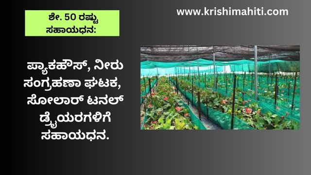 ಪ್ಯಾಕಹೌಸ್, ನೀರು ಸಂಗ್ರಹಣಾ ಘಟಕ, ಸೋಲಾರ್ ಟನಲ್ ಡ್ರೈಯರಗಳಿಗೆ ಸಹಾಯಧನ.