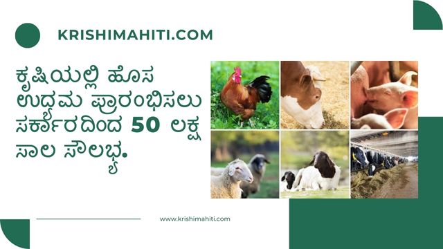 ಕೃಷಿಯಲ್ಲಿ ಹೊಸ ಉದ್ಯಮ ಪ್ರಾರಂಭಿಸಲು ಸರ್ಕಾರದಿಂದ 50 ಲಕ್ಷ ಸಾಲ ಸೌಲಭ್ಯ. (2)