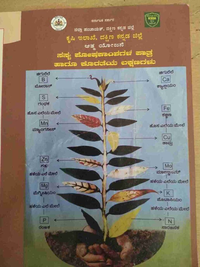 nutrient deficiency chart1