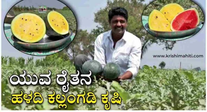 yellow watermelon