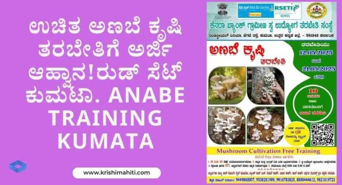 anabe agri tarbeti