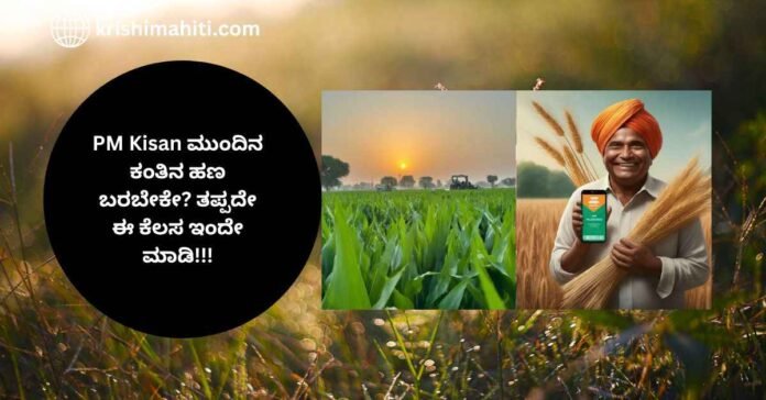 Pmkisan scheme