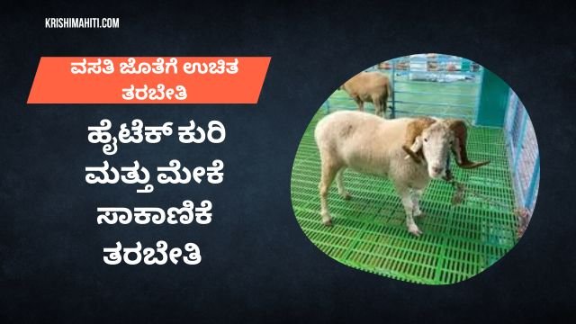 Sheep and Goat farming training